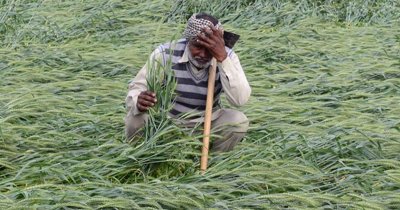 india-s-farmers-distress-widens-as-government-benefits-reach-only-25