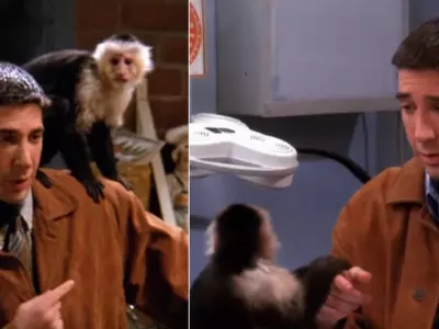 Sorry FRIENDS Fans, Ross Wasn’t Fond Of Marcel The Monkey, Says Matt LeBlanc AKA Joey
