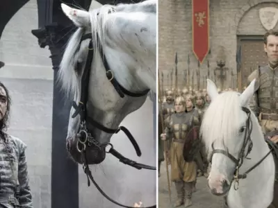 11 Crucial Details You Missed In Episode 5 Of Game Of Thrones Because You Were Freaking Out!