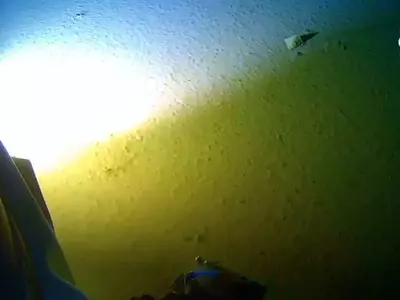 Sea Diver Touches Deepest Point Of Ocean Floor Ever And Found Plastic