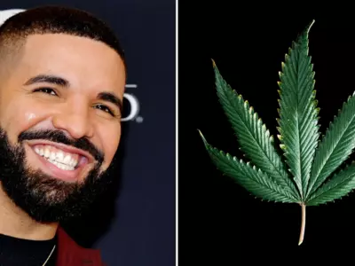 Drake Is Launching His Own Cannabis Brand 'More Life Growth Company' In His Hometown Toronto