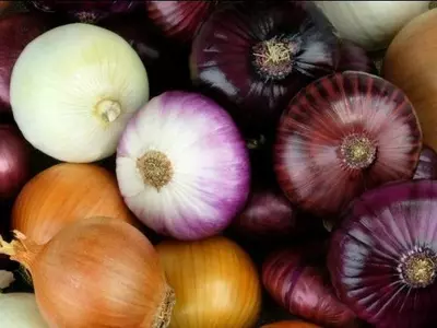 Rising Onion Prices Make People Cry, RBI Raises PMC Withdrawal Limit + More Top News