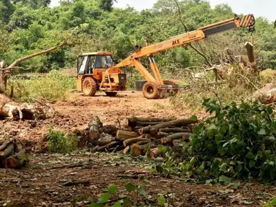 Uttar Pradesh’s Yogi Government To Cut Down 64,000 Trees For The Defence Expo In Lucknow