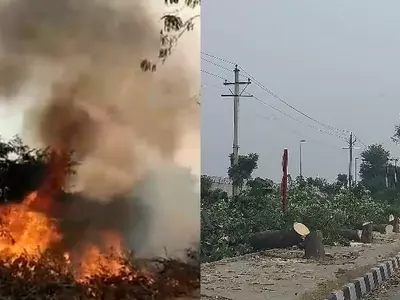 While Delhites Grasp For Air, Trees Are Cut & Massive Fire Has Been Raging In Dwarka For Days