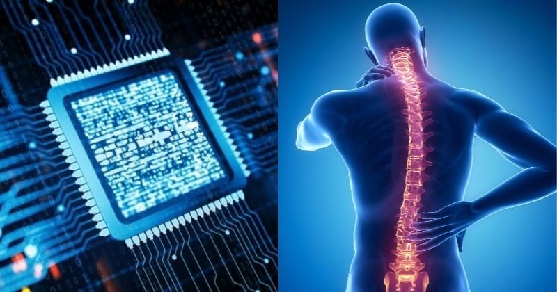 This New 'Intelligent Spine' Tech Tries Using AI To Restore Movement In ...