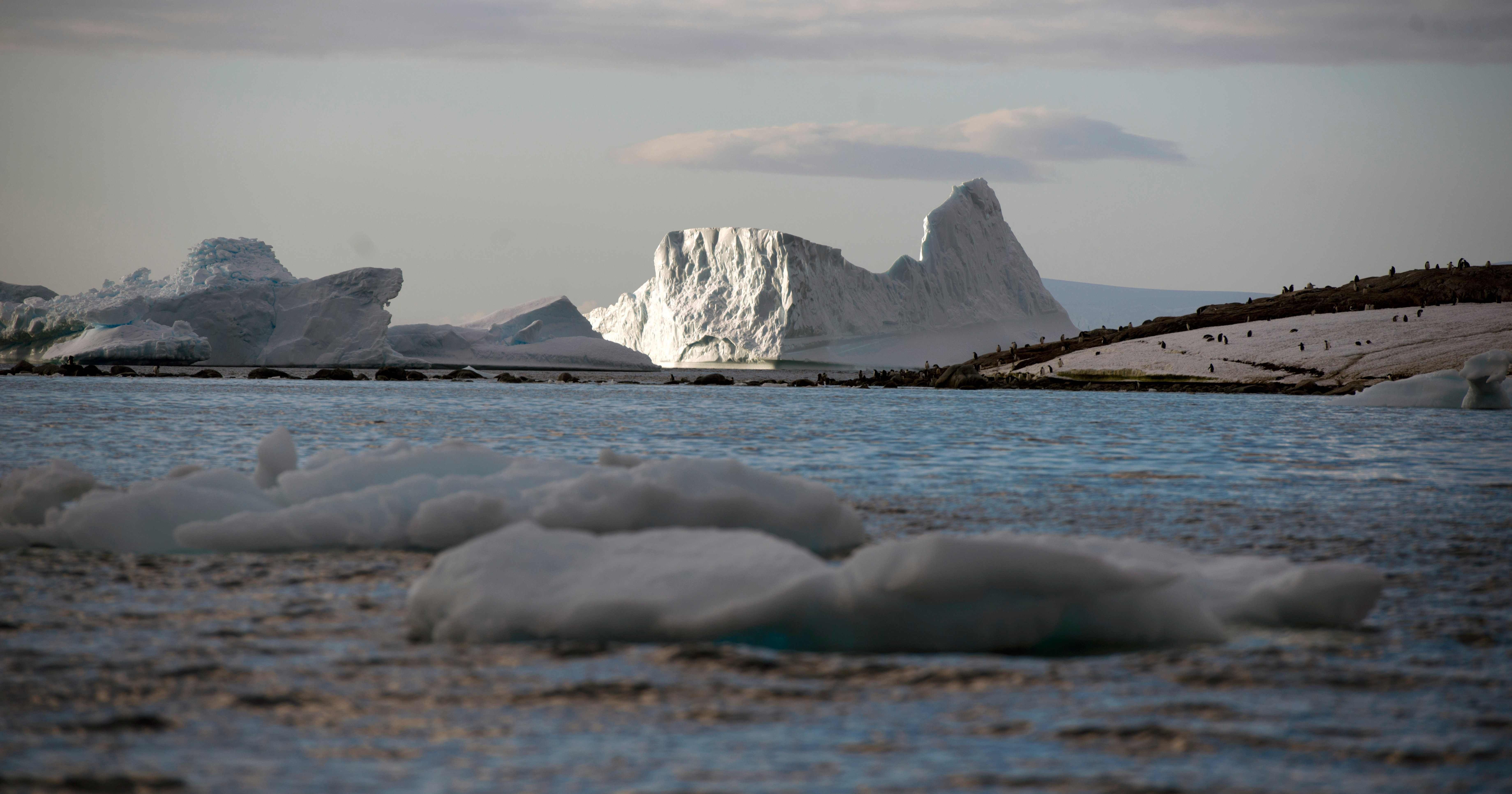 Полуострова северо ледовитого океана. Антарктический полуостров. Лето на антарктическом полуострове. Острова Северного Ледовитого океана фото. Гренландское море.