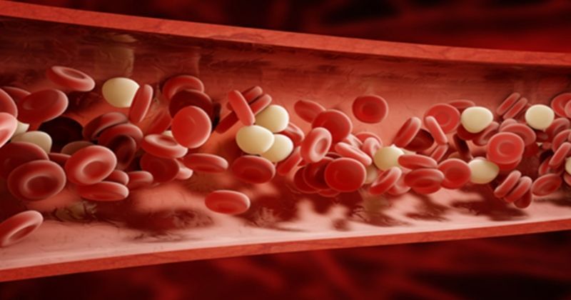 japanese-doctors-are-creating-artificial-blood-that-can-be-transfused