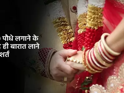 bride wedding condition, plantation is condition for marriage, air pollution, दुल्हन की शर्त, 100 पौ