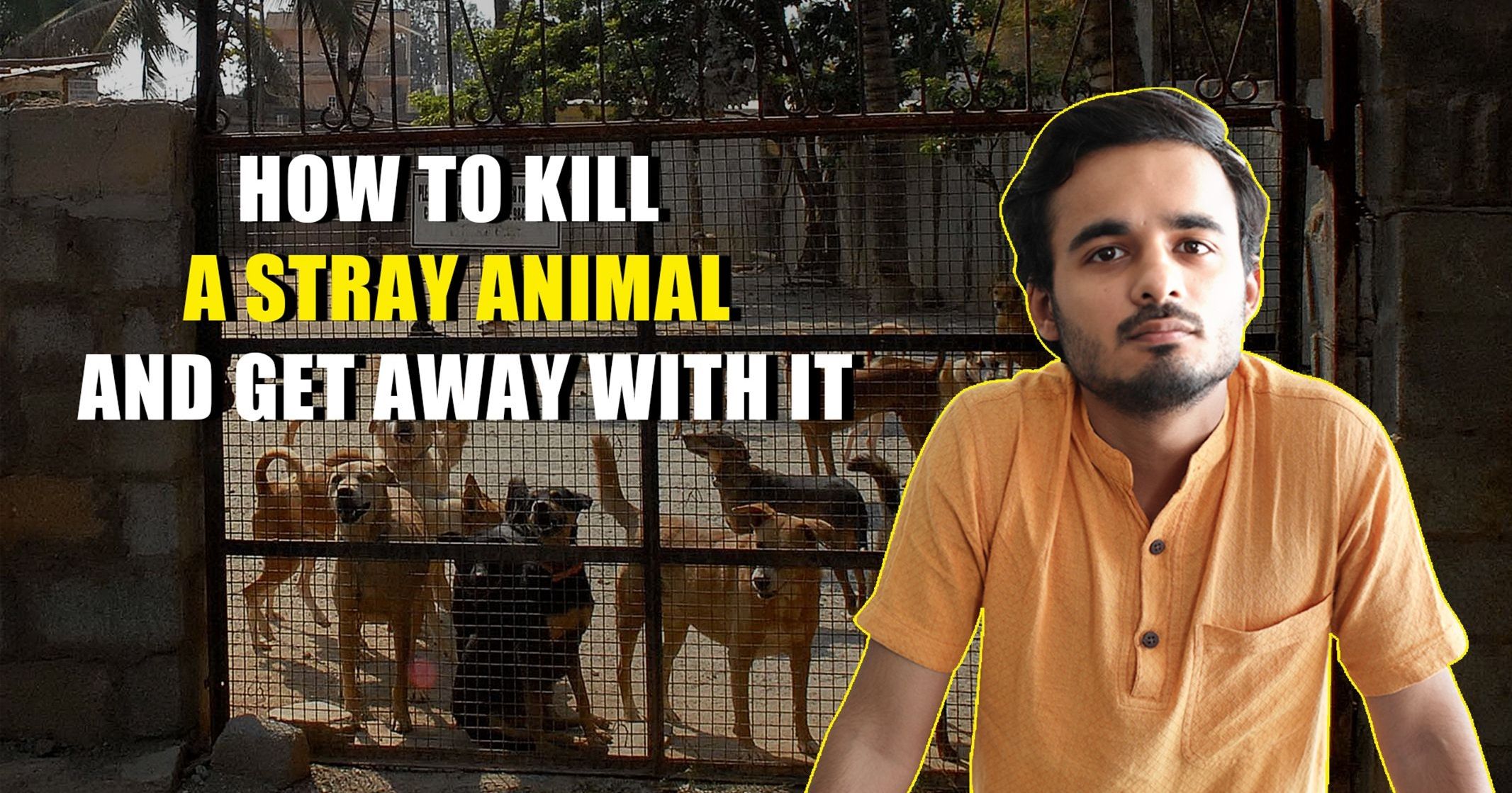 How To Kill A Stray Animal And Get Away With It