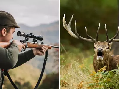 hunter killed by deer