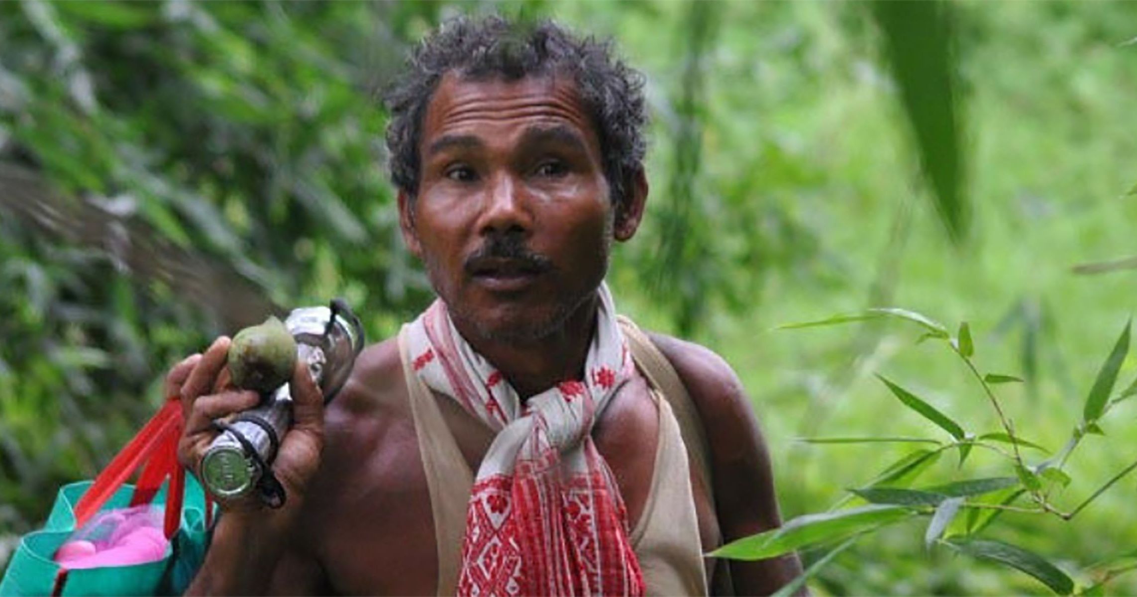 The Man Who Single-Handedly Planted An Entire Forest