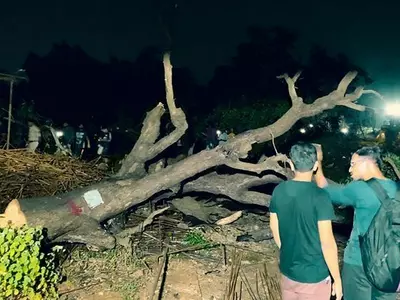 SC Stays Felling Of Aarey Trees, Muslim Couple Thrashed In Alwar + More Top News