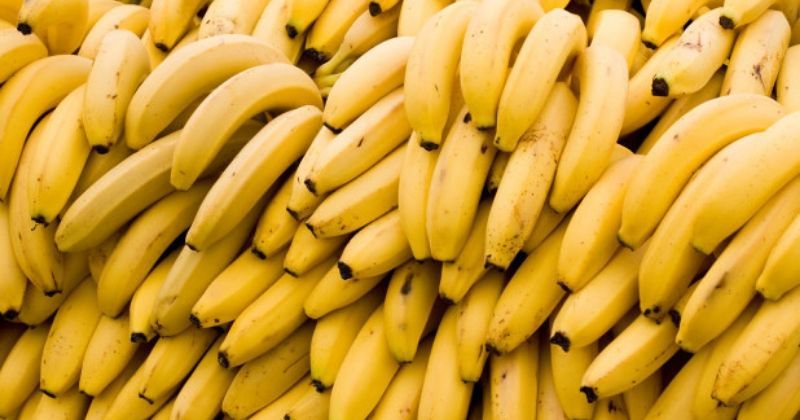 Bananas Are Going To Cost A Bomb In The Future, All Thanks To Climate ...