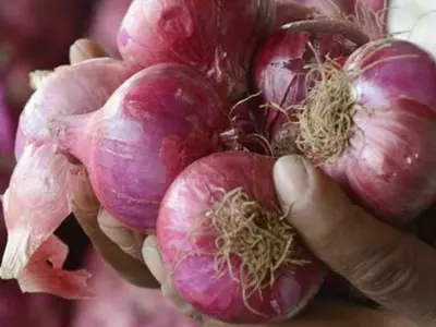 Onion More Expensive Than Petrol, Earthquake In Pakistan + More Top News