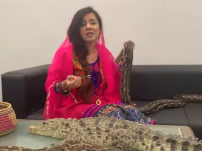 Pakistani Singer Rabi Pirzada Who Threatened PM Modi Of Snake Attack Faces 2 Years Of Jail Term