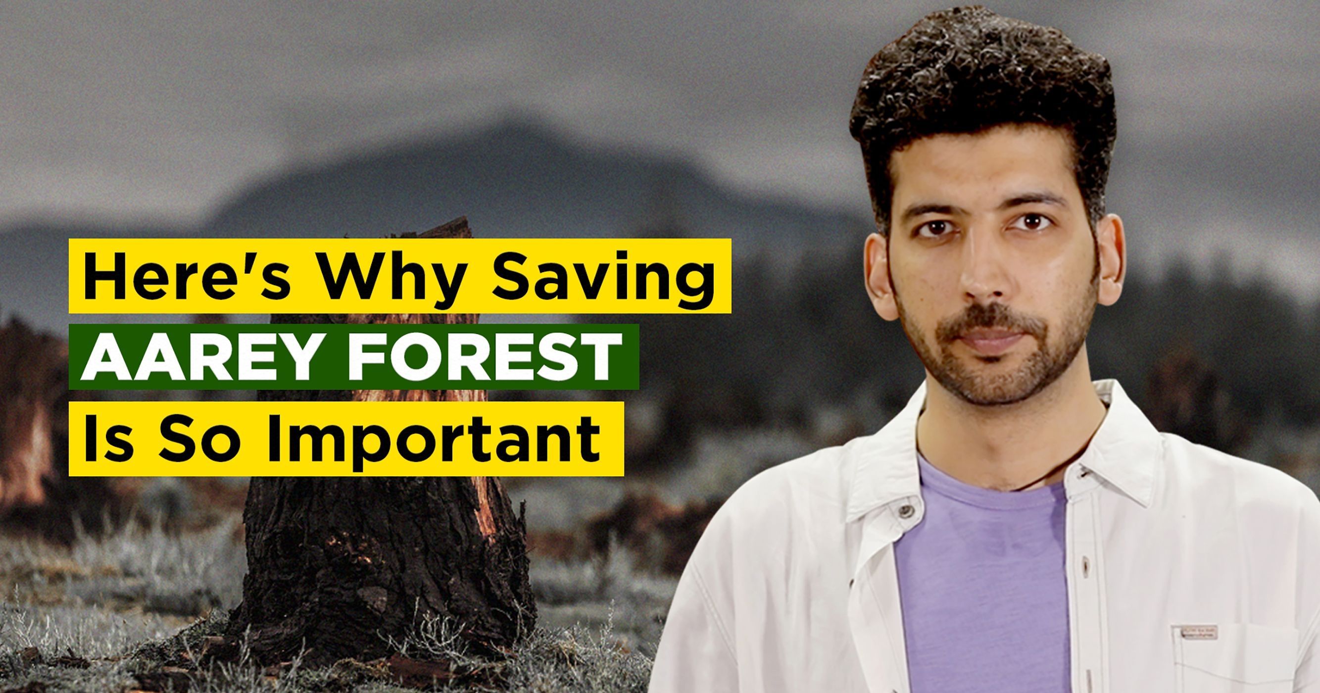 here-s-why-saving-aarey-forest-is-so-important