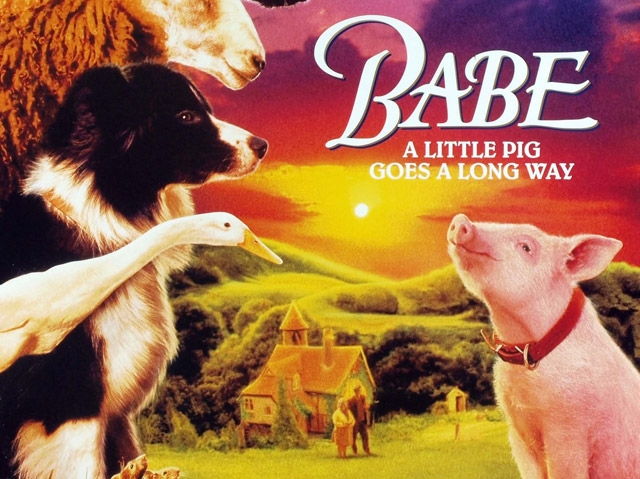 Top 15 films for animal lovers