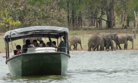 Kabini: Wild, peaceful and all in between