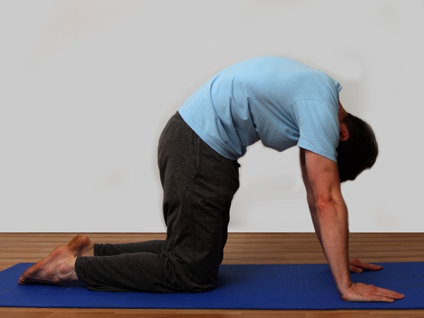 Yoga For Backache: Strength And Healing Through Yoga