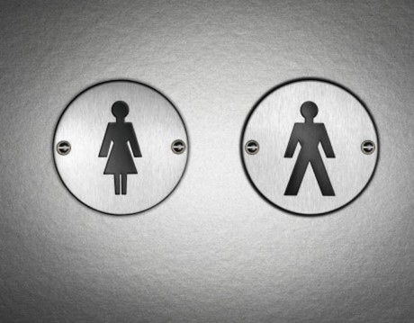 Shortage of public toilets for Euro 2012