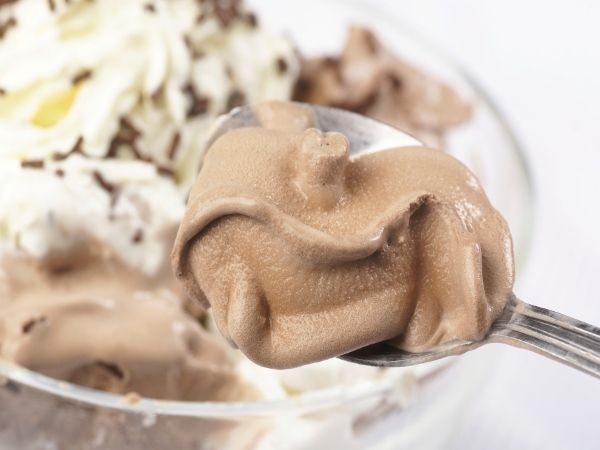 Homemade Healthy Chocolate Ice Cream