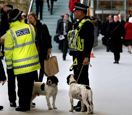 Shortage of sniffer dogs at Olympics?