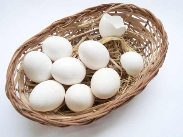 Gradual Exposure To Egg Cuts Allergy Risk