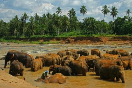 srilanka