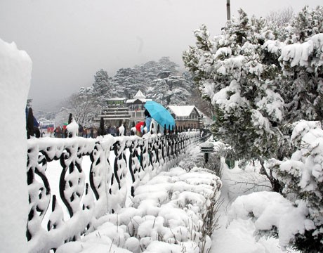Himachal snow