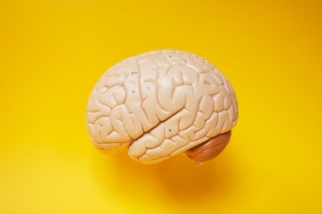 Super Human Brain