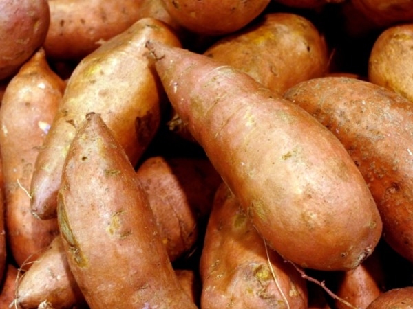 Sweet Potatoes