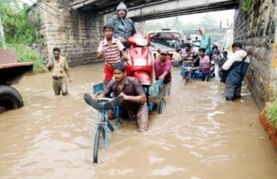 Heavy Rain Disrupts Normal Life in Odisha
