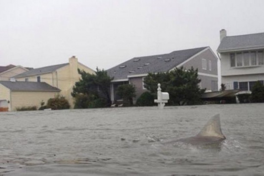 Hurricane Sandy 'floods' Twitter