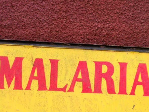 Old Drug Found Effective Against Malaria