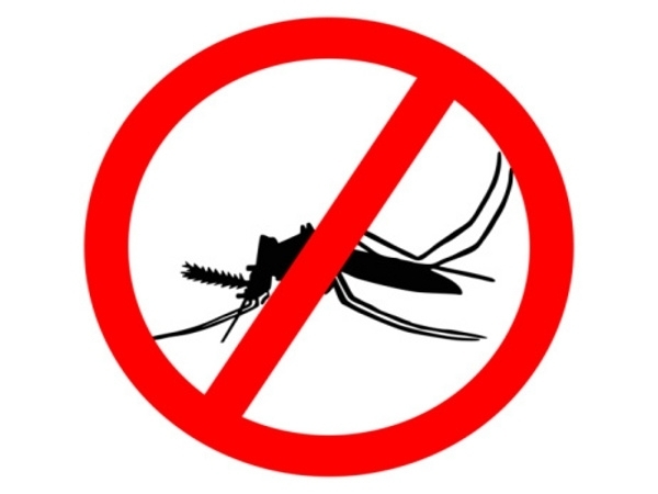 You Can Prevent Dengue Fever