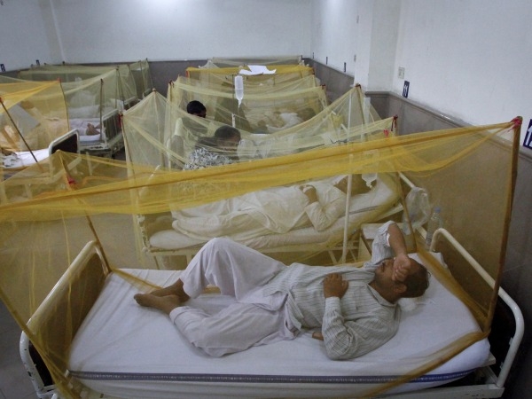 10 New Dengue Cases In Delhi Take Tally To 98