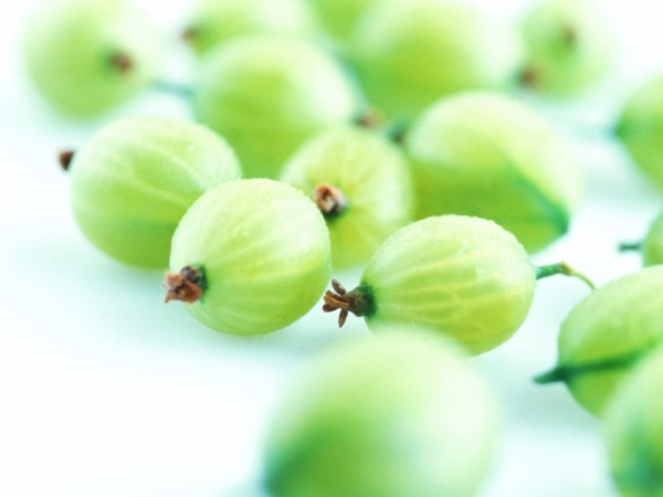 Health Benefits Of Amla - The Indian Gooseberry