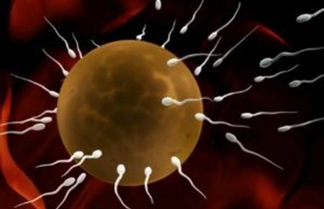 Now, a black market for sperm in China
