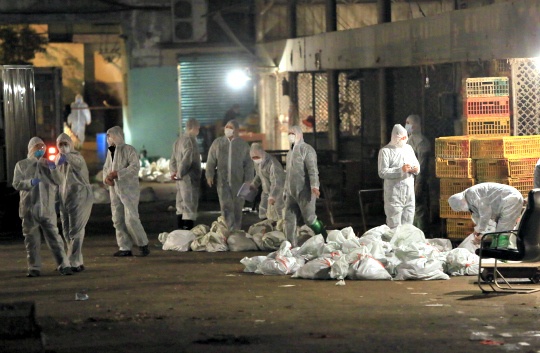 Chinese health workers collect the bags of dead chickens at Huhuai wholesale agricultural market in Shanghai