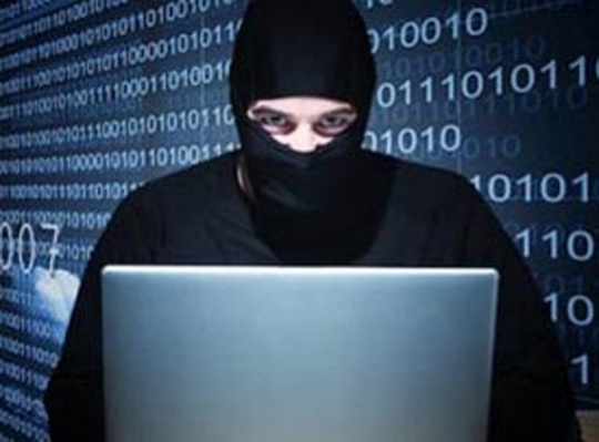 78 Govt Sites Hacked Till June 2013