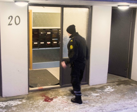Iceland's First-Ever Police Shooting Leaves One Dead