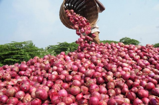 Onion Over-supply Leads To Crisis