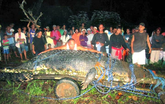 World's Largest Crocodile Dies in Philippines