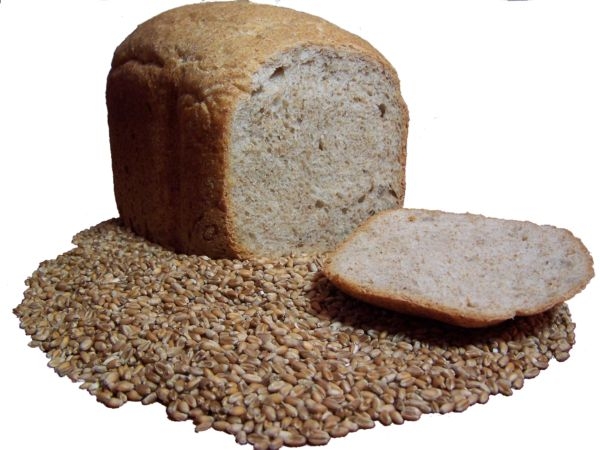 What Makes Whole Wheat Bread So Appetising?