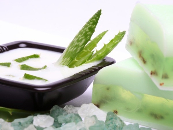 Health Benefits: Why Aloe Vera is Great for You