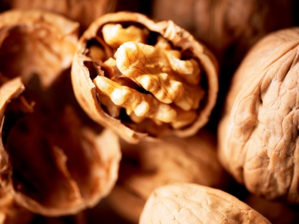 Study Shows Walnuts May Protect Against Cancer
