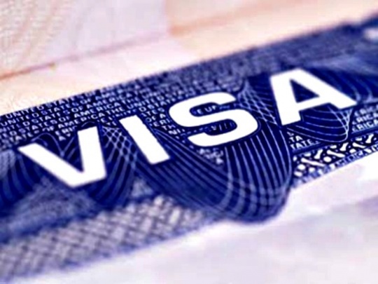 H-1B Visas, Green Cards