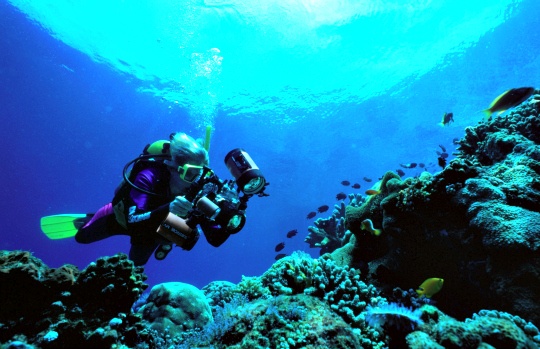 10 Underwater Heavens for Scuba Diving
