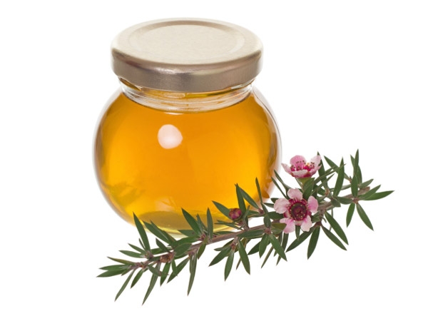 Health Benefits Of Tea Tree Oil