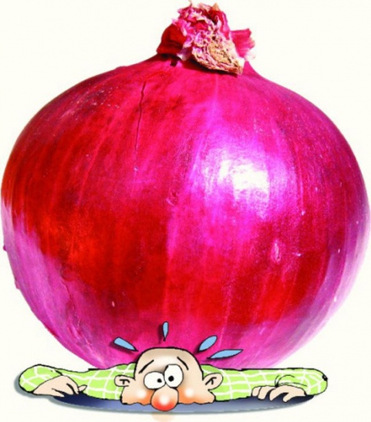High Price of Onions
